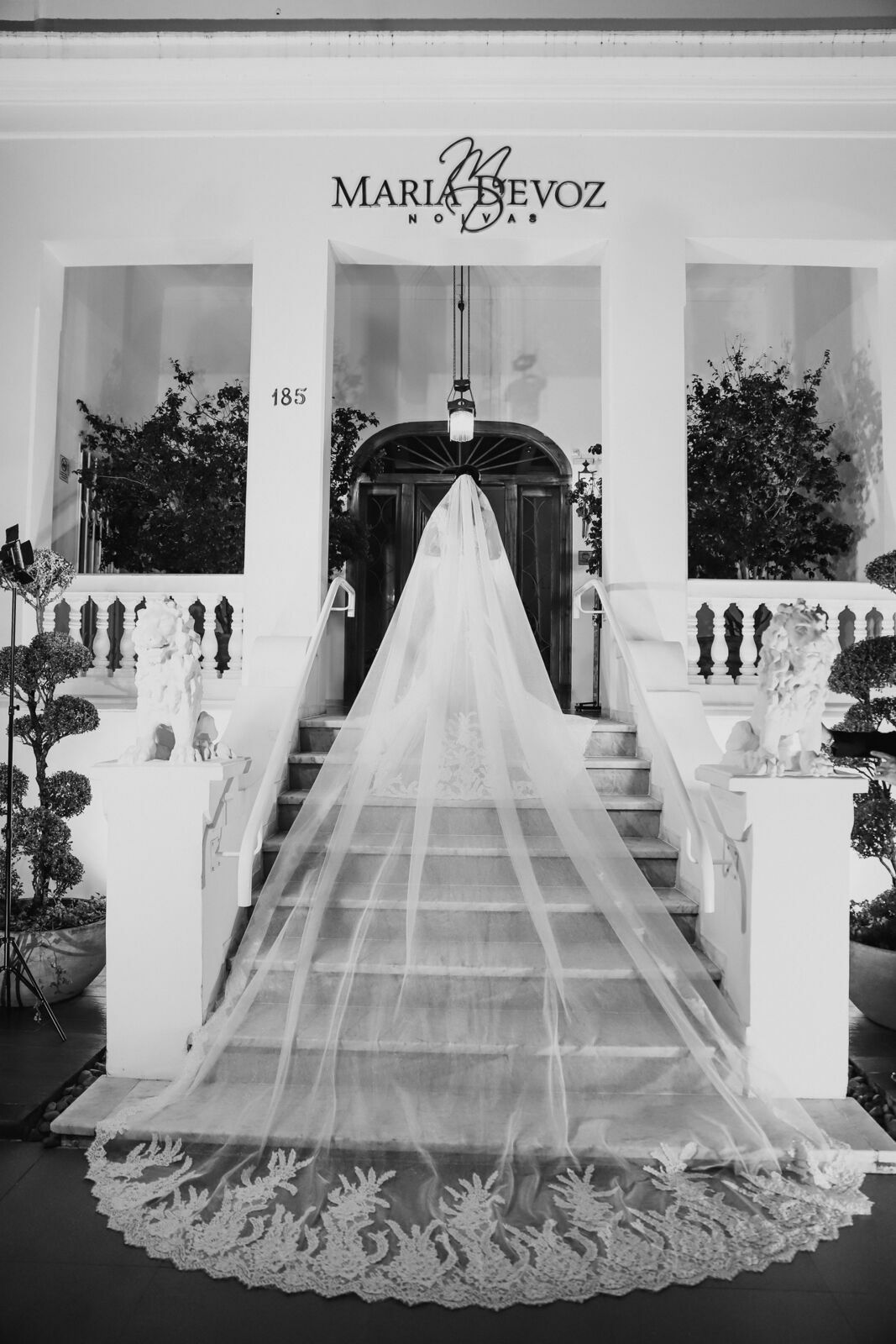 Foto Nelma e Francisco / CASAMENTO Foto Nelma e Francisco / CASAMENTO - Imagem 7