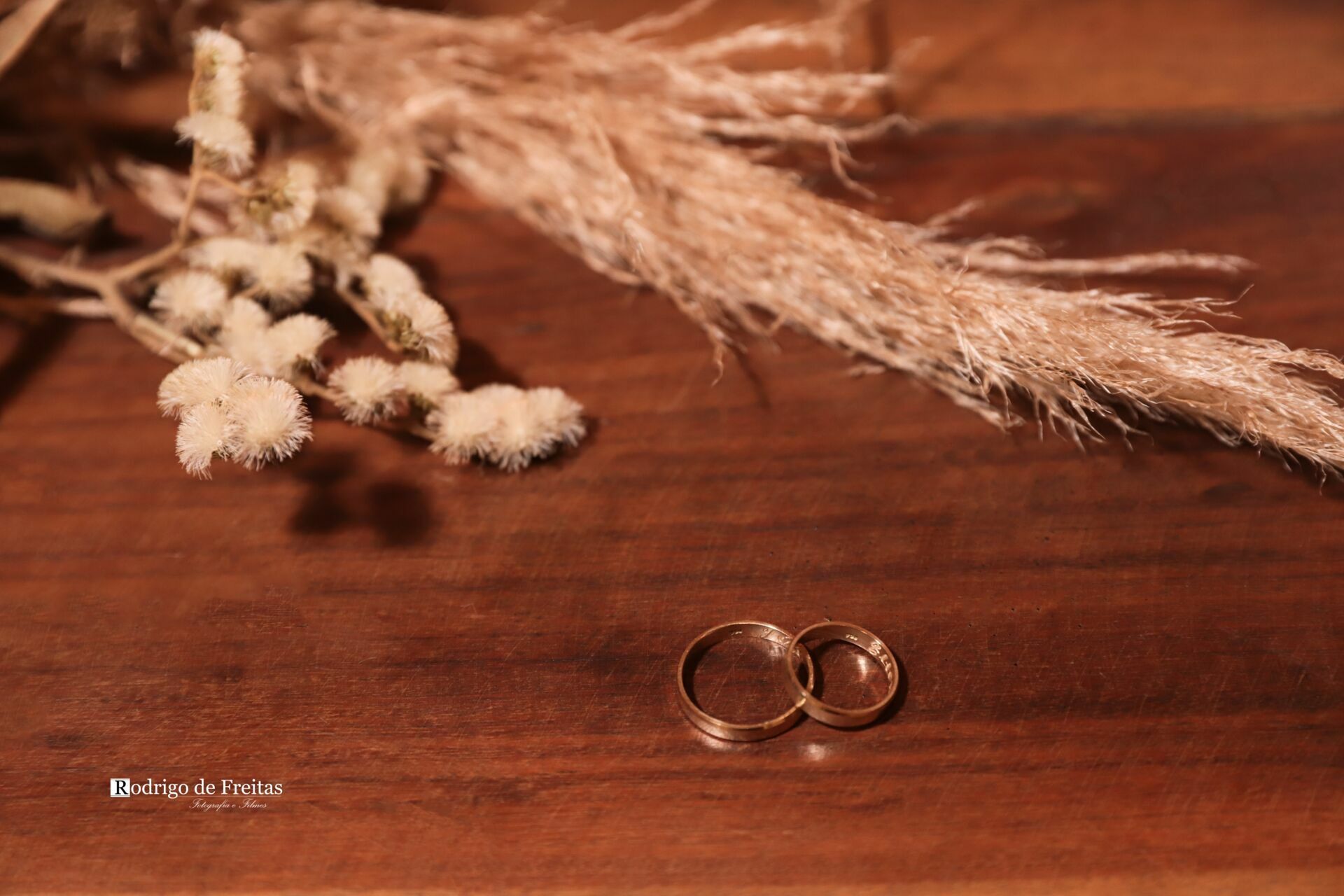 Foto Jéssika e Elton / CASAMENTO Foto Jéssika e Elton / CASAMENTO - Imagem 29