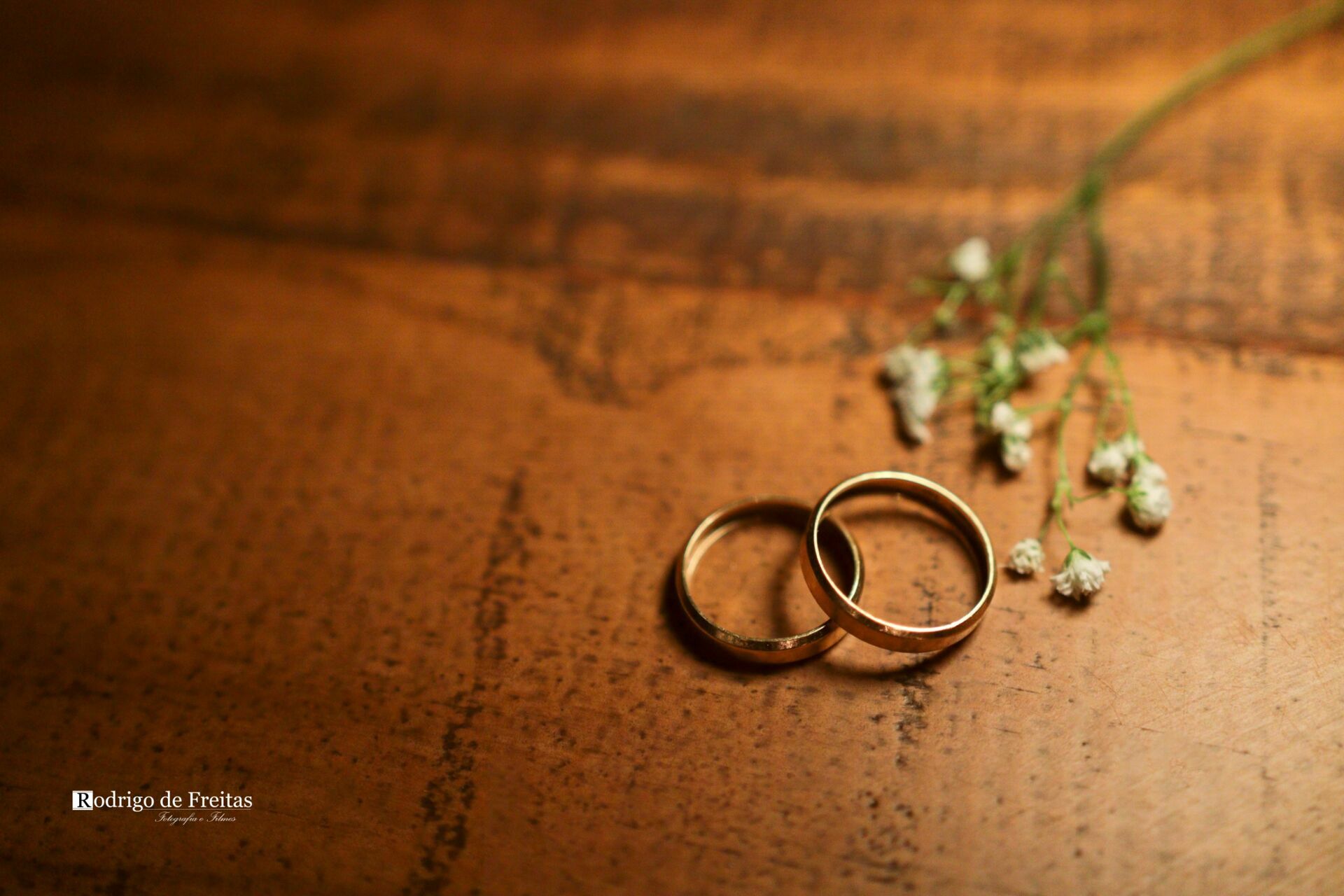 Foto Izabelle e Erick / CASAMENTO Foto Izabelle e Erick / CASAMENTO - Imagem 35