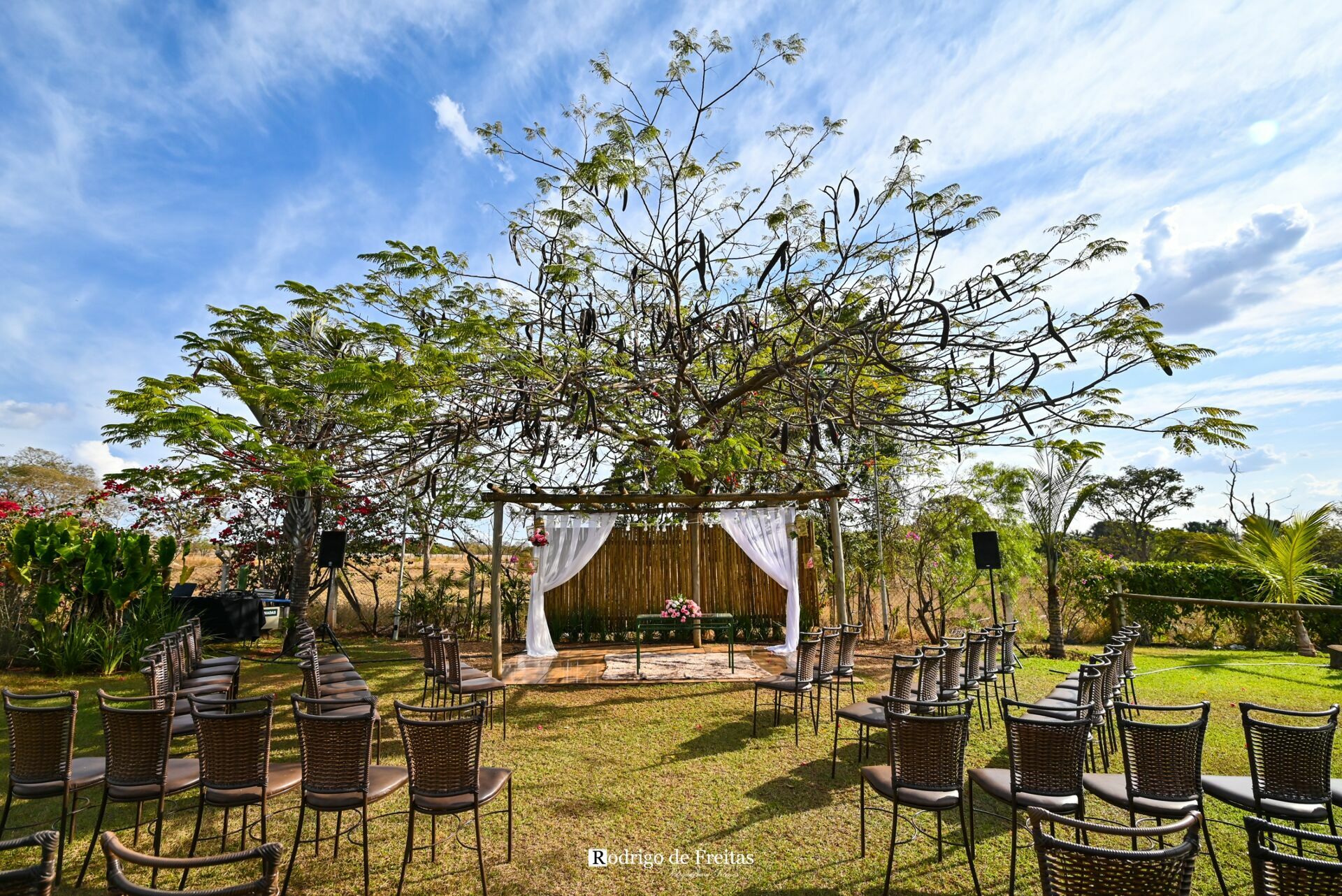 Foto Daniela e Vitor / CASAMENTO Foto Daniela e Vitor / CASAMENTO - Imagem 21